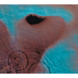 Pink Floyd Meddle (Gate) (Ogv) VINYL LP