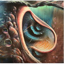 Various Meddle Reimagined - A Tribute To Pink Floyd Vinyl LP