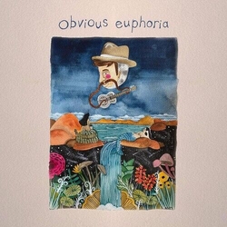 Matt Mitchell Music Co. Obvious Euphoria VINYL LP