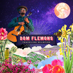 Dom Flemons Traveling Wildfire VINYL LP