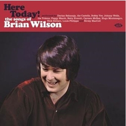 Various Artists Here Today! - The Songs Of Brian Wilson Vinyl LP