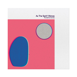 As The Spirit Wanes Accidental Journey Vinyl 7"