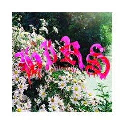 Hirs Collective Friends. Lovers. Favorites. (Orange Vinyl) Vinyl LP