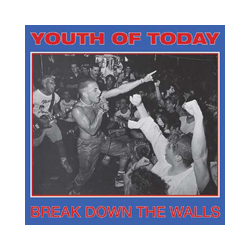 Youth Of Today Break Down The Walls Vinyl LP