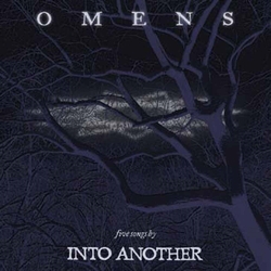 Into Another Omens Vinyl LP