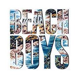 Beach The Boys The Beach Boys Vinyl LP