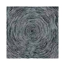 Bleeding Heart Pigeons Is Vinyl Double Album