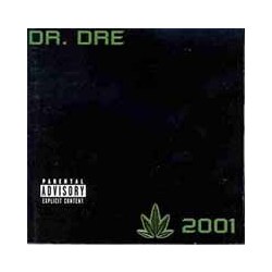 Dr Dre 2001 Vinyl Double Album
