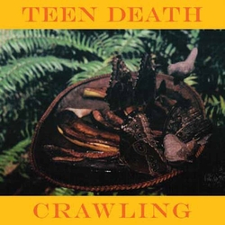 Teen Death Crawling Vinyl 7"
