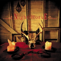 Night Horse The Dark Won'T Hide You Vinyl LP