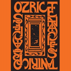 Ozric Tentacles Tantric Obstacles Vinyl Double Album