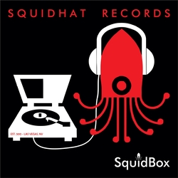 Various Artists Squidhat Records: Squidbox (4 LP) Vinyl LP Box Set