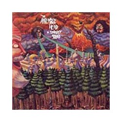 Assemble Head In Sunburst Sound Ekranoplan Vinyl LP