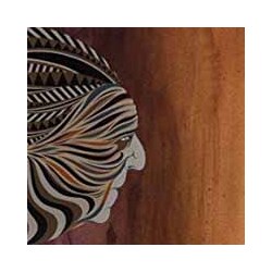Ancestors Of Sound Mind Vinyl Double Album