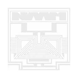 Naam Vow Vinyl LP