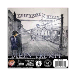 Mdc / Riot Cop Split Vinyl 7"
