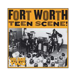 Various Artists Fort Worth Teen Scene Vol. 2 (Gatefold!) Vinyl LP