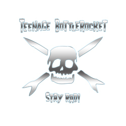 Teenage Bottlerocket Stay Rad! Vinyl LP