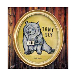 Tony Sly Sad Bear Vinyl LP