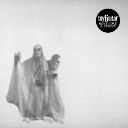 Toyguitar Move Like A Ghost Vinyl LP