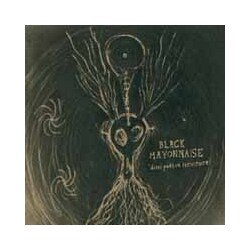 Black Mayonnaise Dissipative Structure Vinyl LP