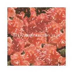 Taxa Resurrection Year Vinyl 7"