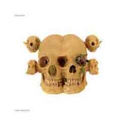 Kohoutek Lossless Loss Vinyl LP