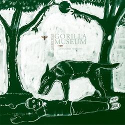 Sleepytime Gorilla Museum Of Natural History Vinyl Double Album