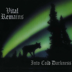 Vital Remains Into Cold Darkness Vinyl LP