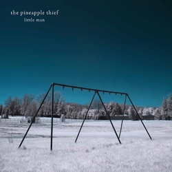 Pineapple The Thief Little Man Vinyl Double Album