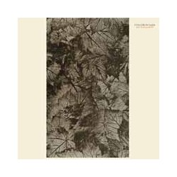 Eyeless In Gaza Rust Red September Vinyl Double Album