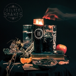 Silver Snakes Year Of The Snake Vinyl LP