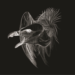 Buried At Sea Migration Vinyl Double Album