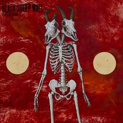 Black Sheep Wall It Begins Again Vinyl 10"