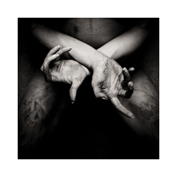 Shining X - Varg Utan Flock Vinyl Double Album