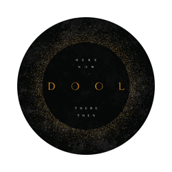 Dool Here Now There Then (Picture Disc) Vinyl 12" Picture Disc