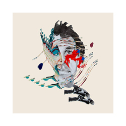 Anima Collective Painting With Vinyl LP