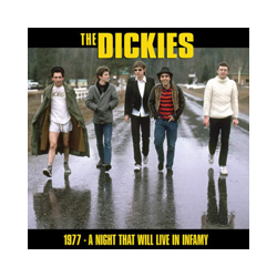 The Dickies A Night That Will Live In Infamy 1977 Vinyl LP