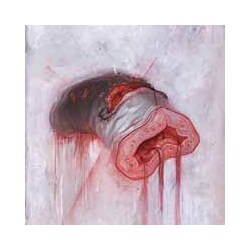 American Heritage Prolapse Vinyl LP