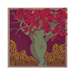 The/ Fourtune-Tellers The X-Ray Ha Storm/ Snake Woman Vinyl 7"