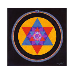 Wolvennest Void (Clear Vinyl) Vinyl Double Album