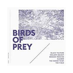 Birds Of Prey Featuring Jenny Woo Birds Of Prey Featuring Jenny Woo Vinyl LP