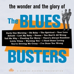 Blues The Busters The Wonder And Glory Of Vinyl LP