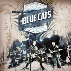 Blue The Cats On A Live Mission Vinyl Double Album