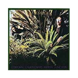 Jim Pembroke Corporal Cauliflower's Mental Function Vinyl LP