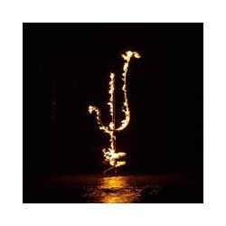 Demon Head Hellfire Ocean Void Vinyl LP