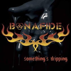 Bonafide Somethings Dripping Vinyl LP