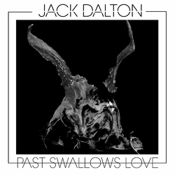 Jack Dalton Past Swallows Love Vinyl LP