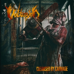 Volturyon Cleansed By Carnage Vinyl LP