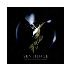 Fredrik Klingwall & Julia Black Sentience Vinyl LP